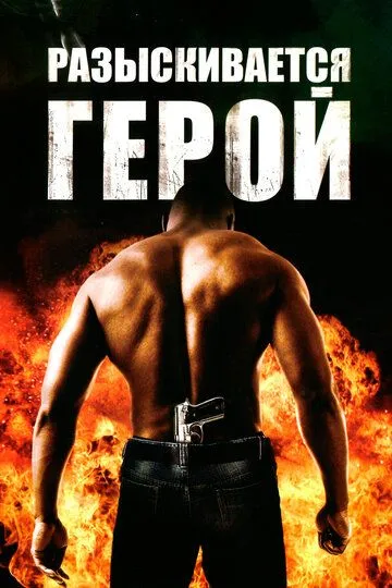 Розшукується герой (2007)